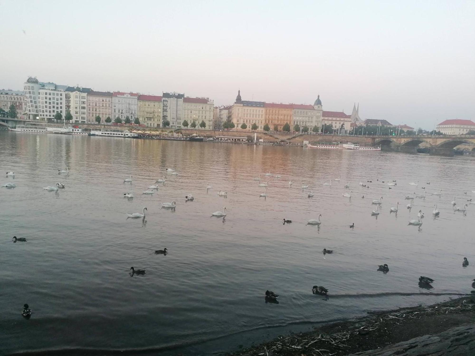 Valentinka Minutes Away From Charles Bridge Daire Prag Dış mekan fotoğraf